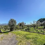 Casa Gli Allori * Iglesias